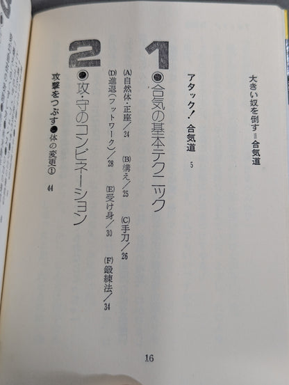 合気道 大きい奴を倒す