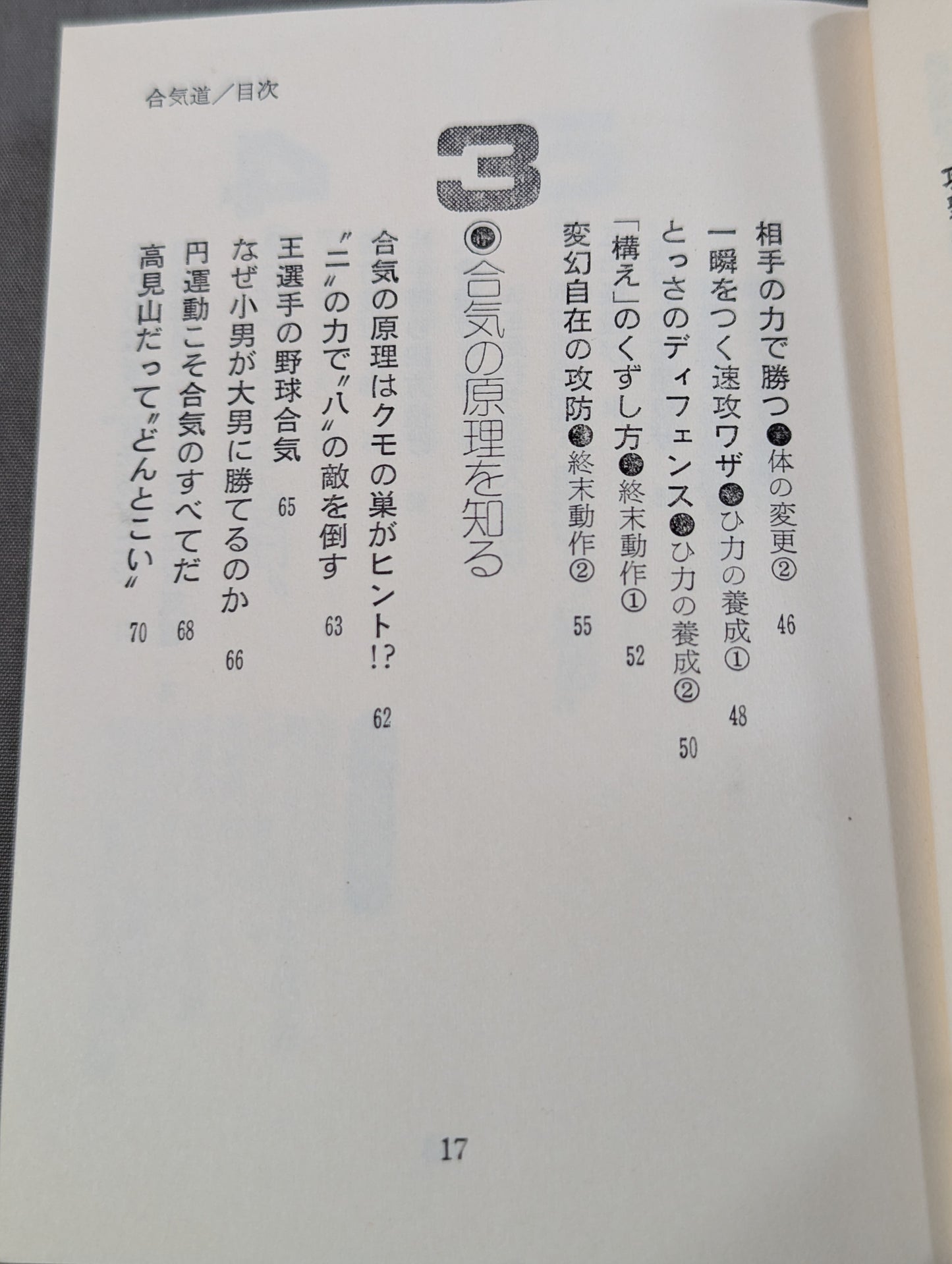 合気道 大きい奴を倒す
