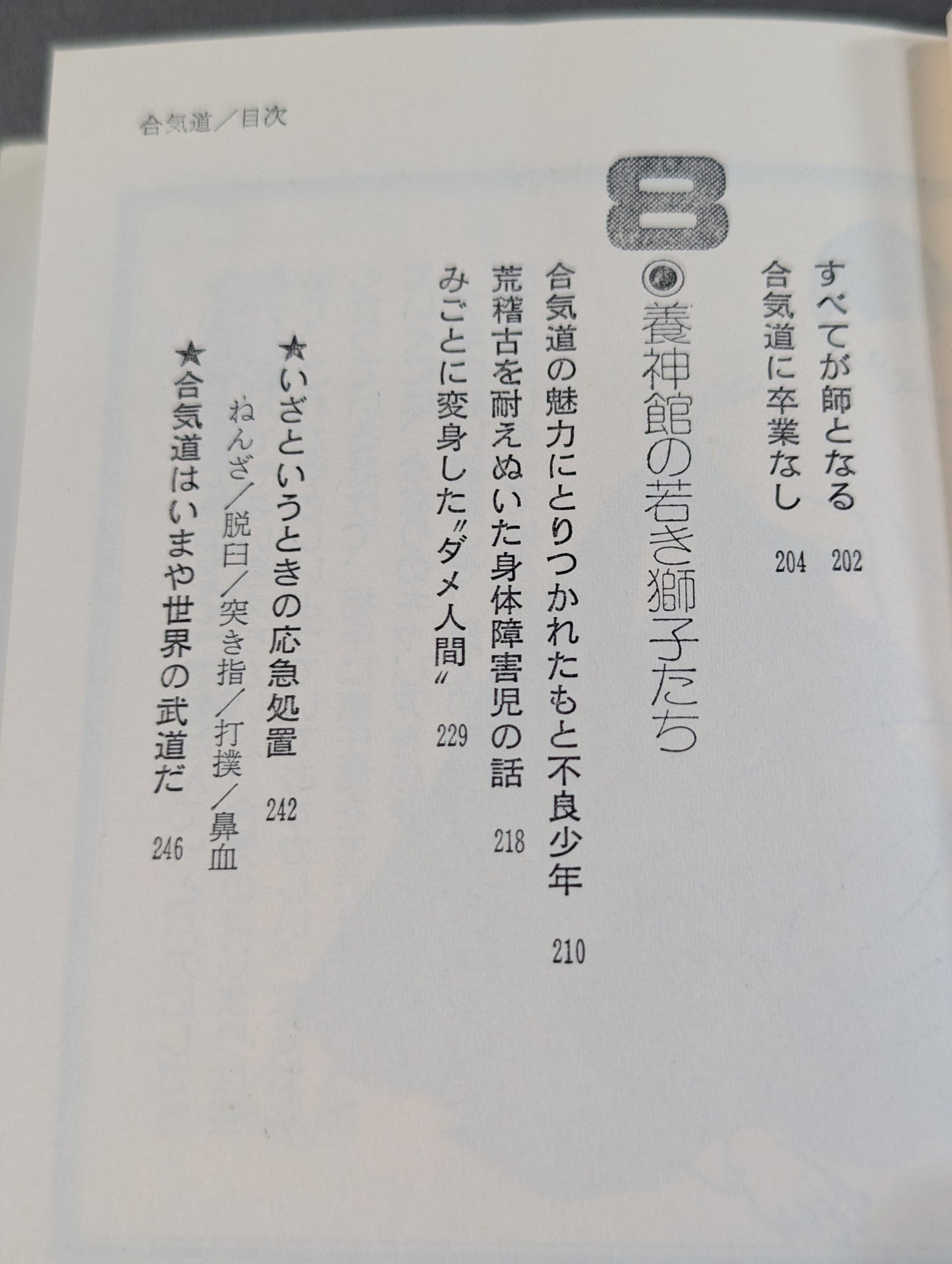 合気道 大きい奴を倒す