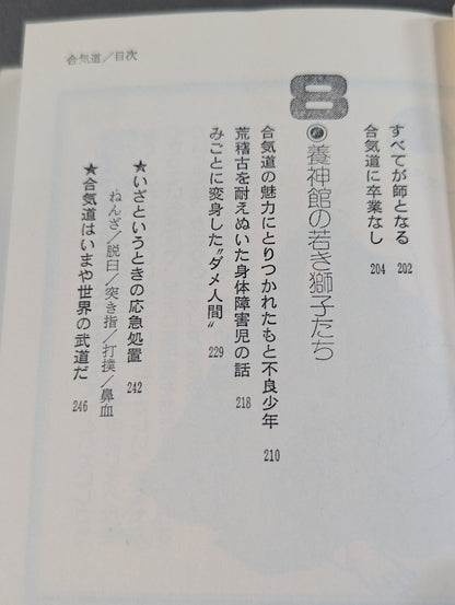 合気道 大きい奴を倒す