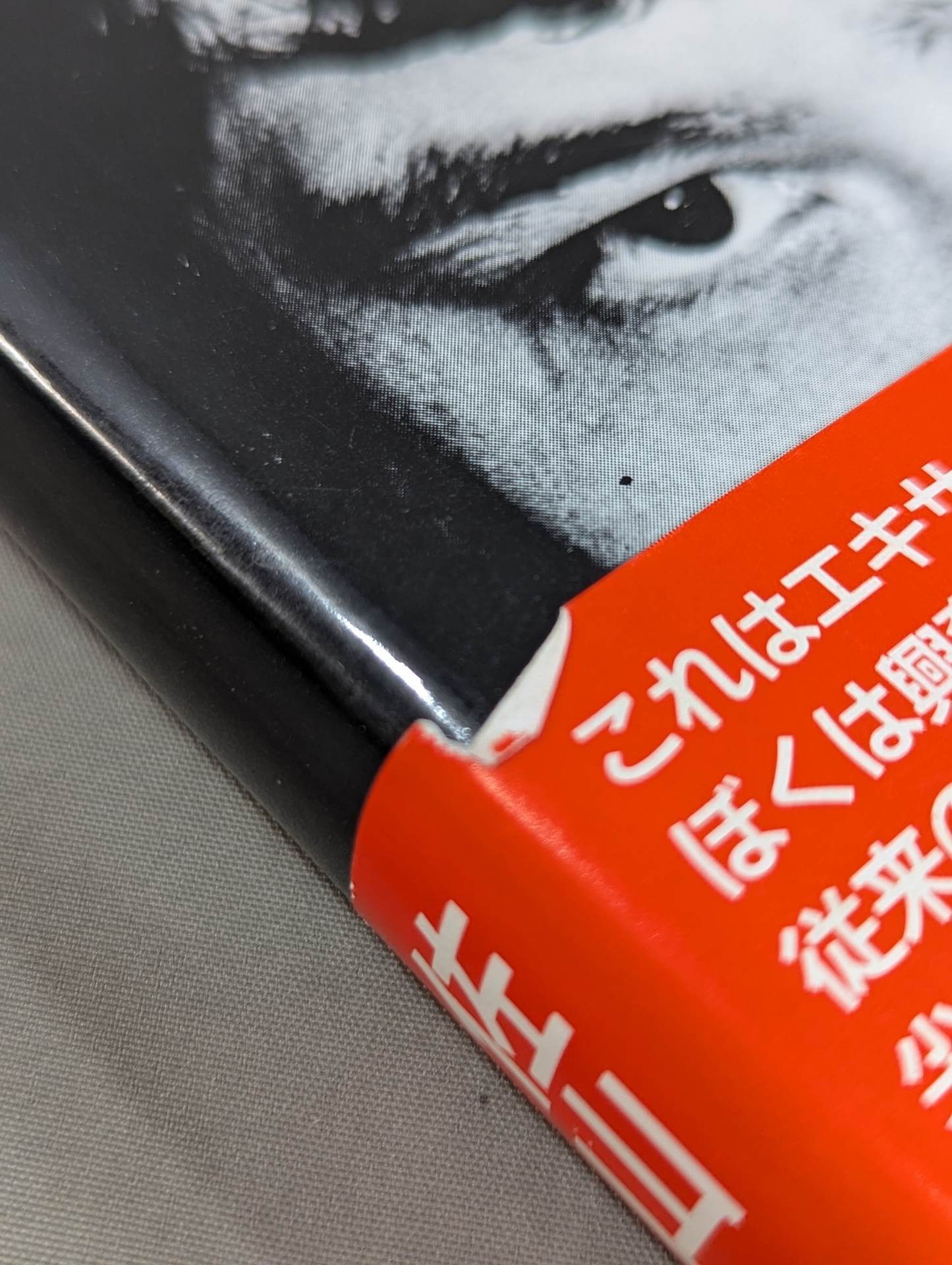 【New Edition】Kafei