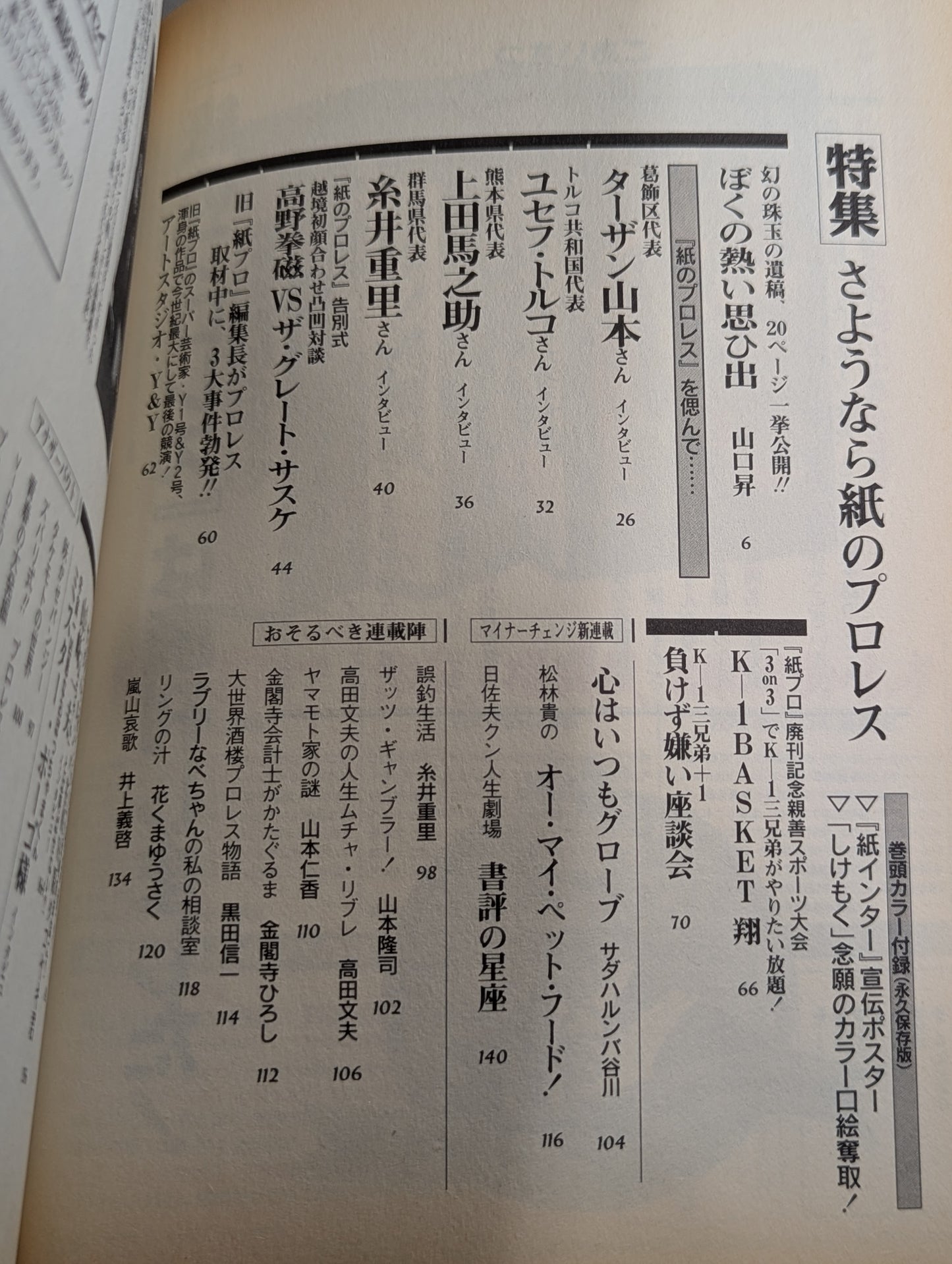 Pro Wrestling  on paper 19