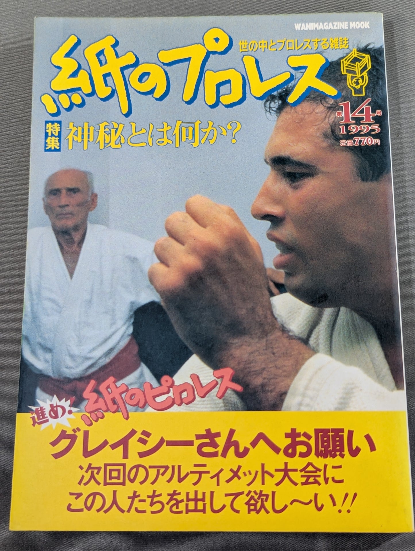Paper Pro Wrestling 14