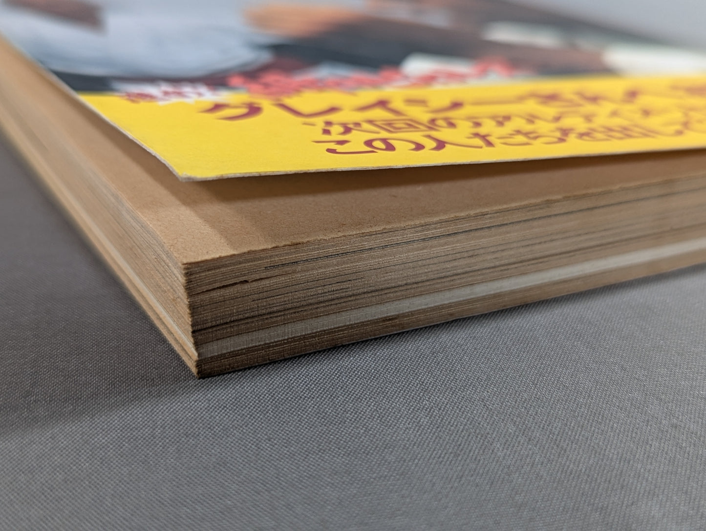 Paper Pro Wrestling 14