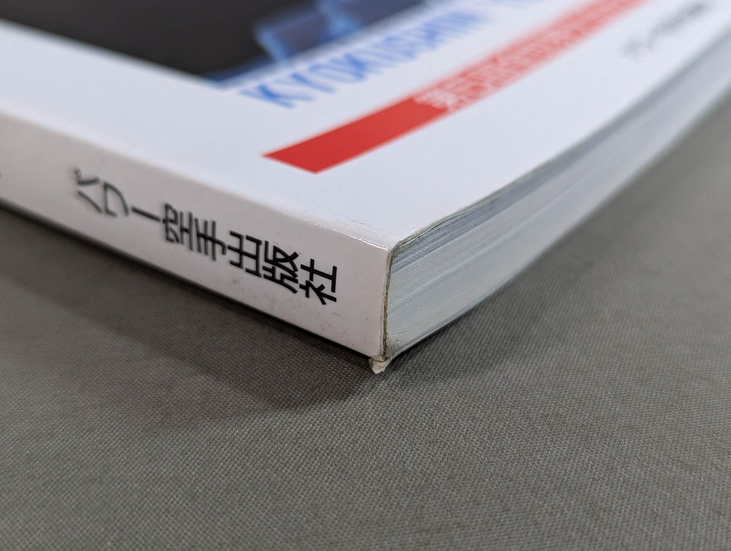 Kyokushin KARATE 91 No. 11 [ Kyokushin KARATE Yearbook/Retitle]