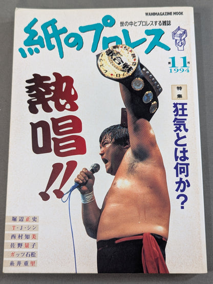 Pro Wrestling  11 on paper