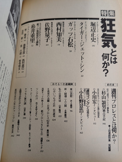 Pro Wrestling  11 on paper