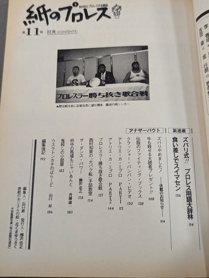 Pro Wrestling  11 on paper