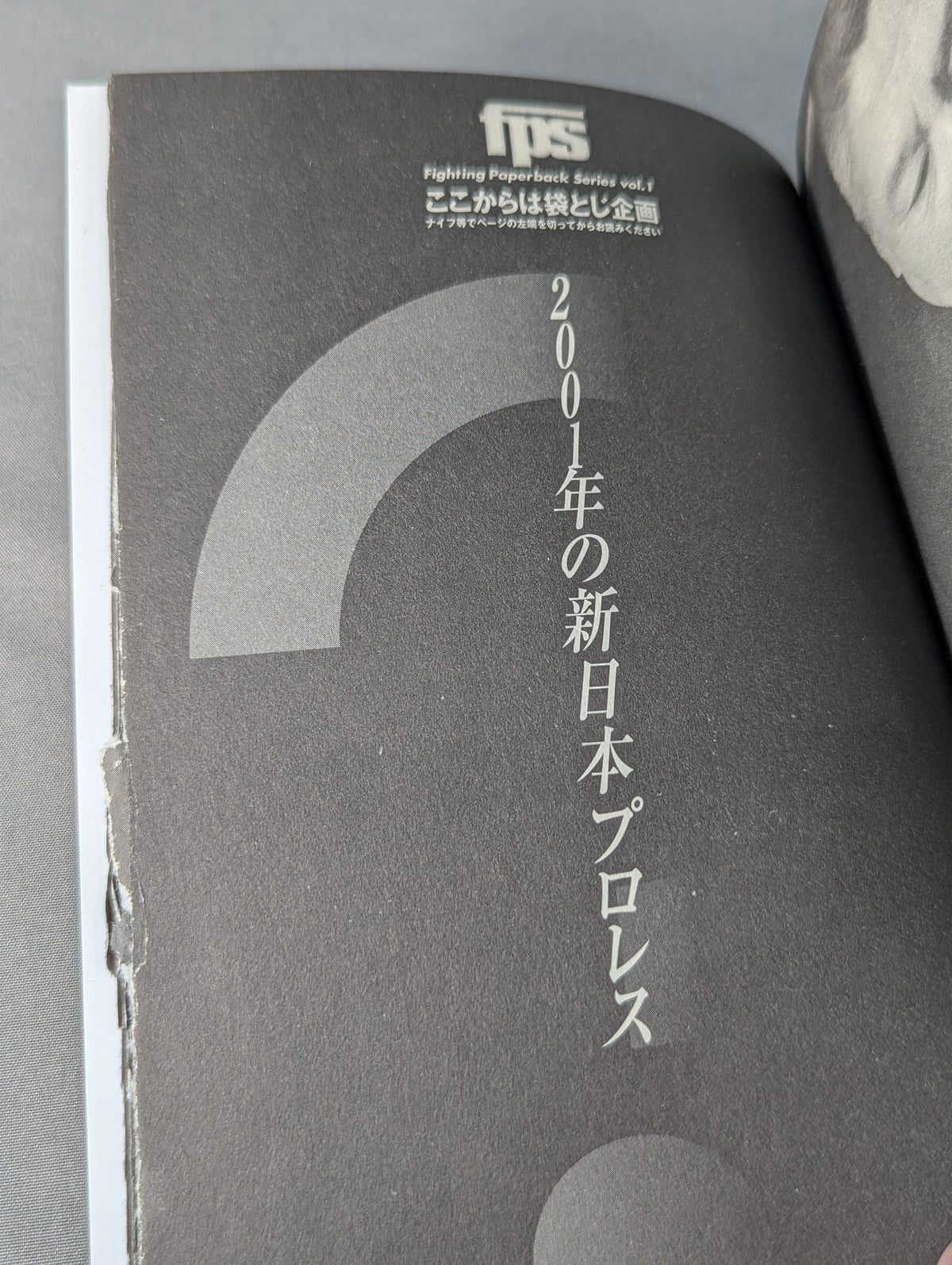 How to create Pro Wrestling