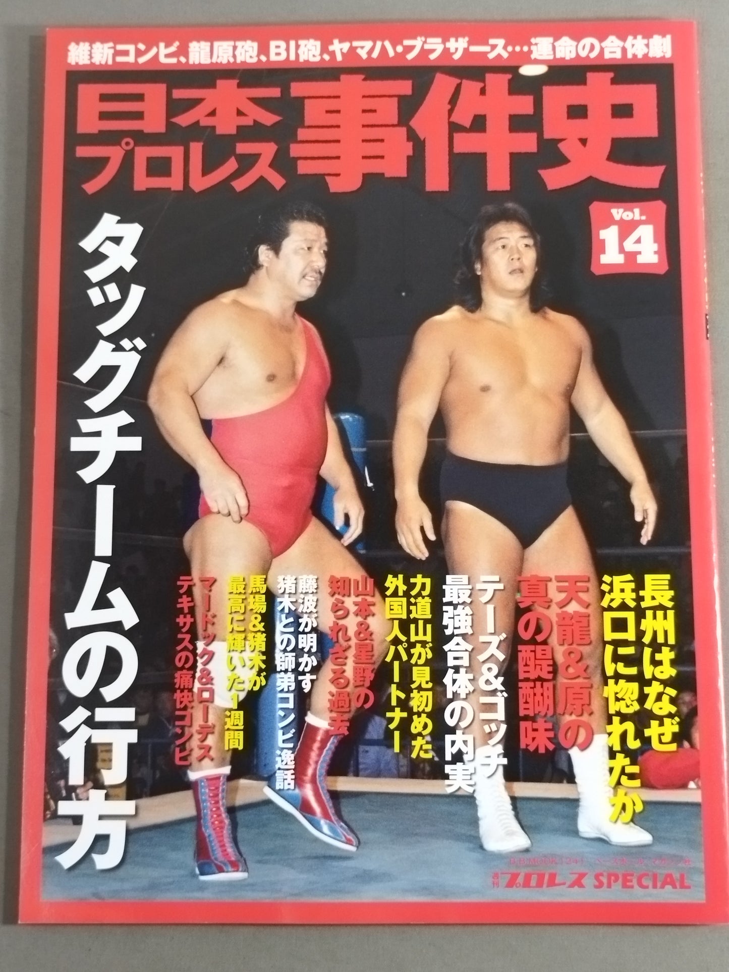 Japan Pro Wrestling Incident History Vol.14 Whereabouts of the Tag Team