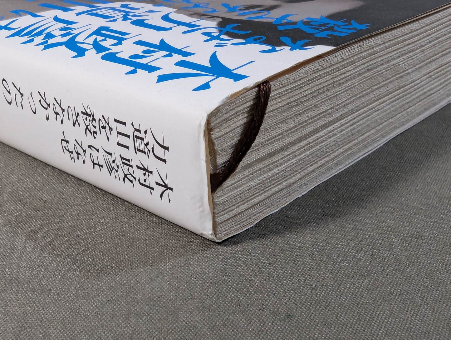 Why didn't Masahiko Kimura kill Rikidozan  (below)