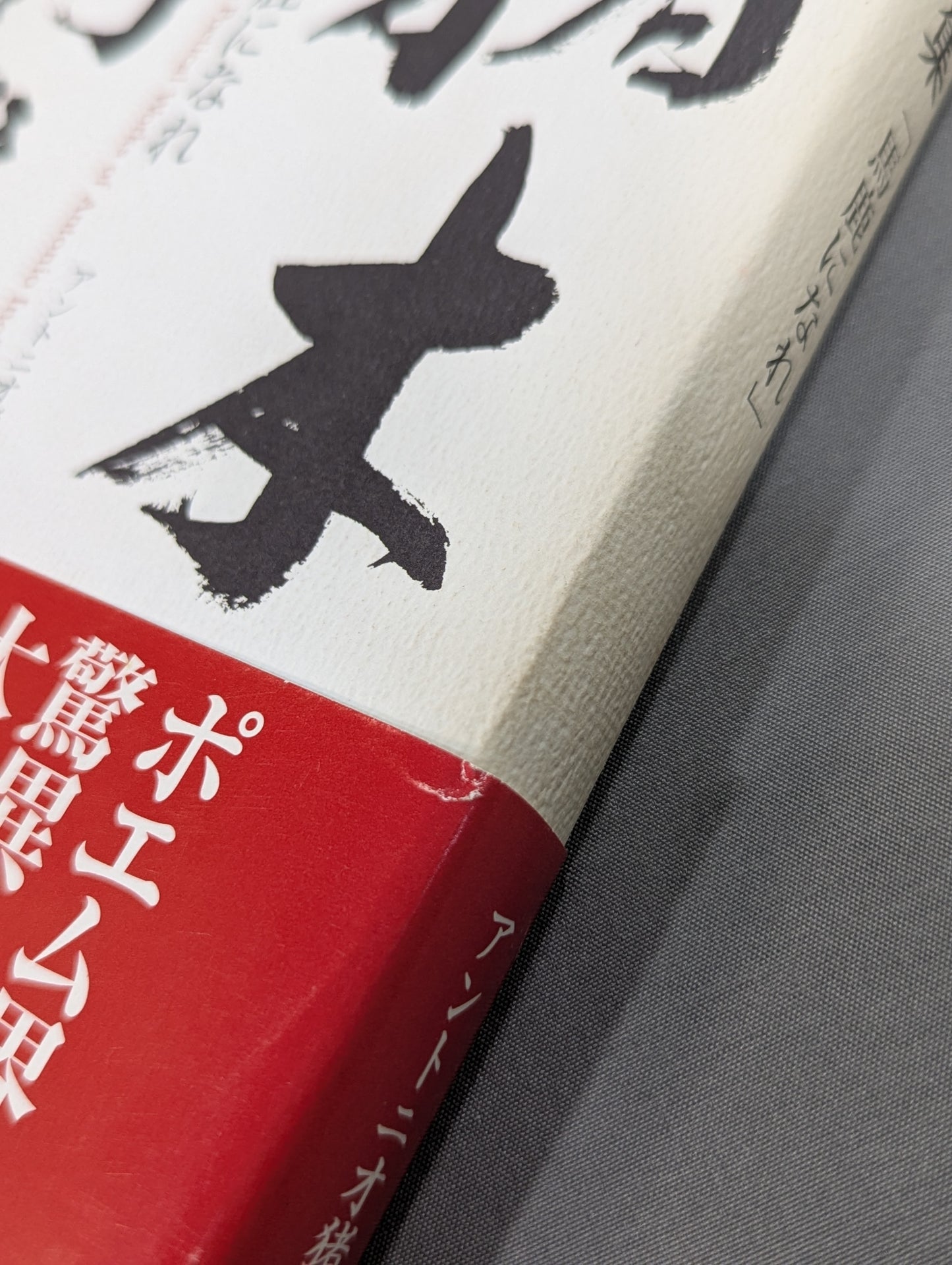 Inoki 's poetry collection "Be an idiot"