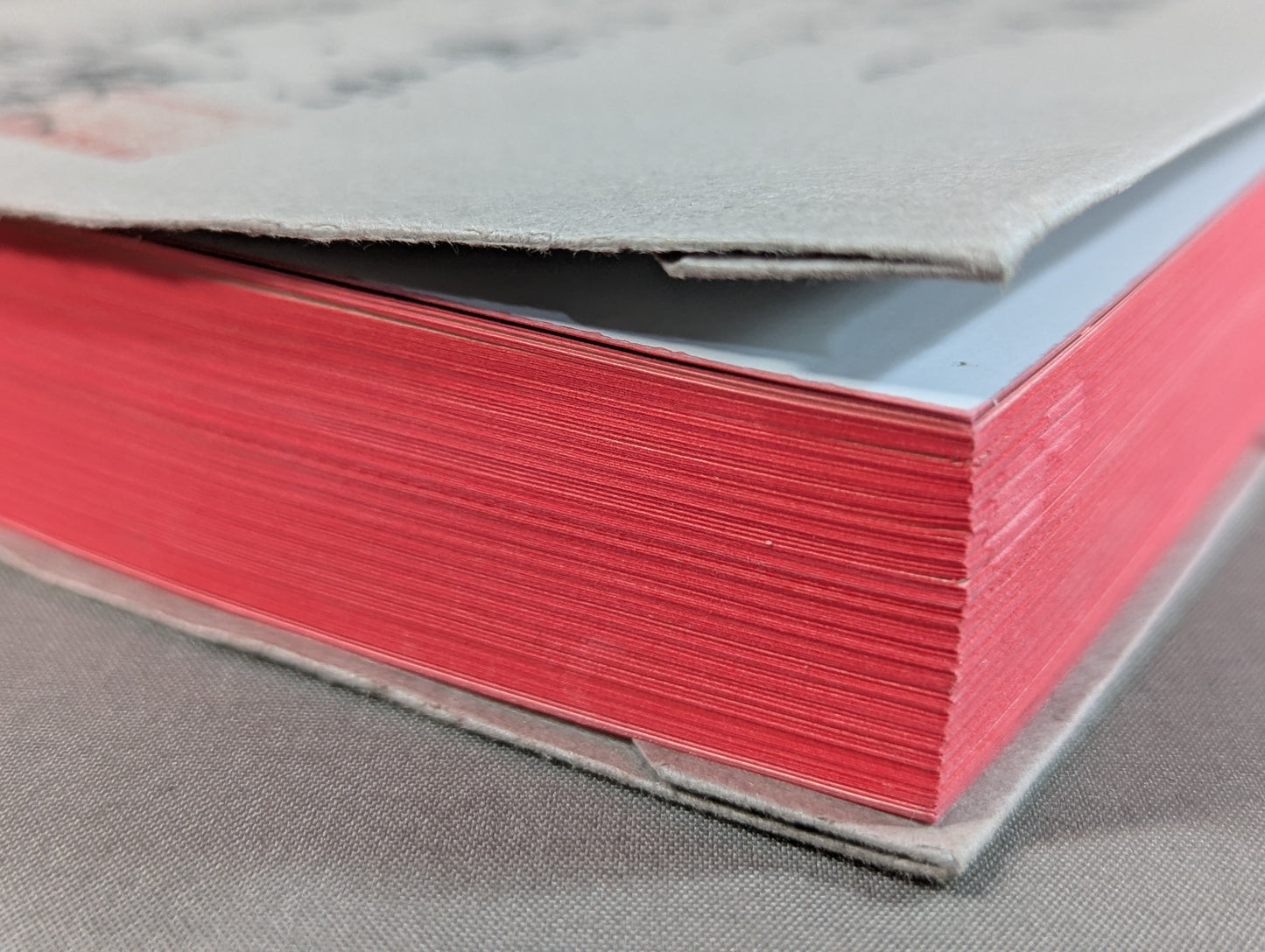 The King of Paper Destruction Shinya Hashimoto  We Loved