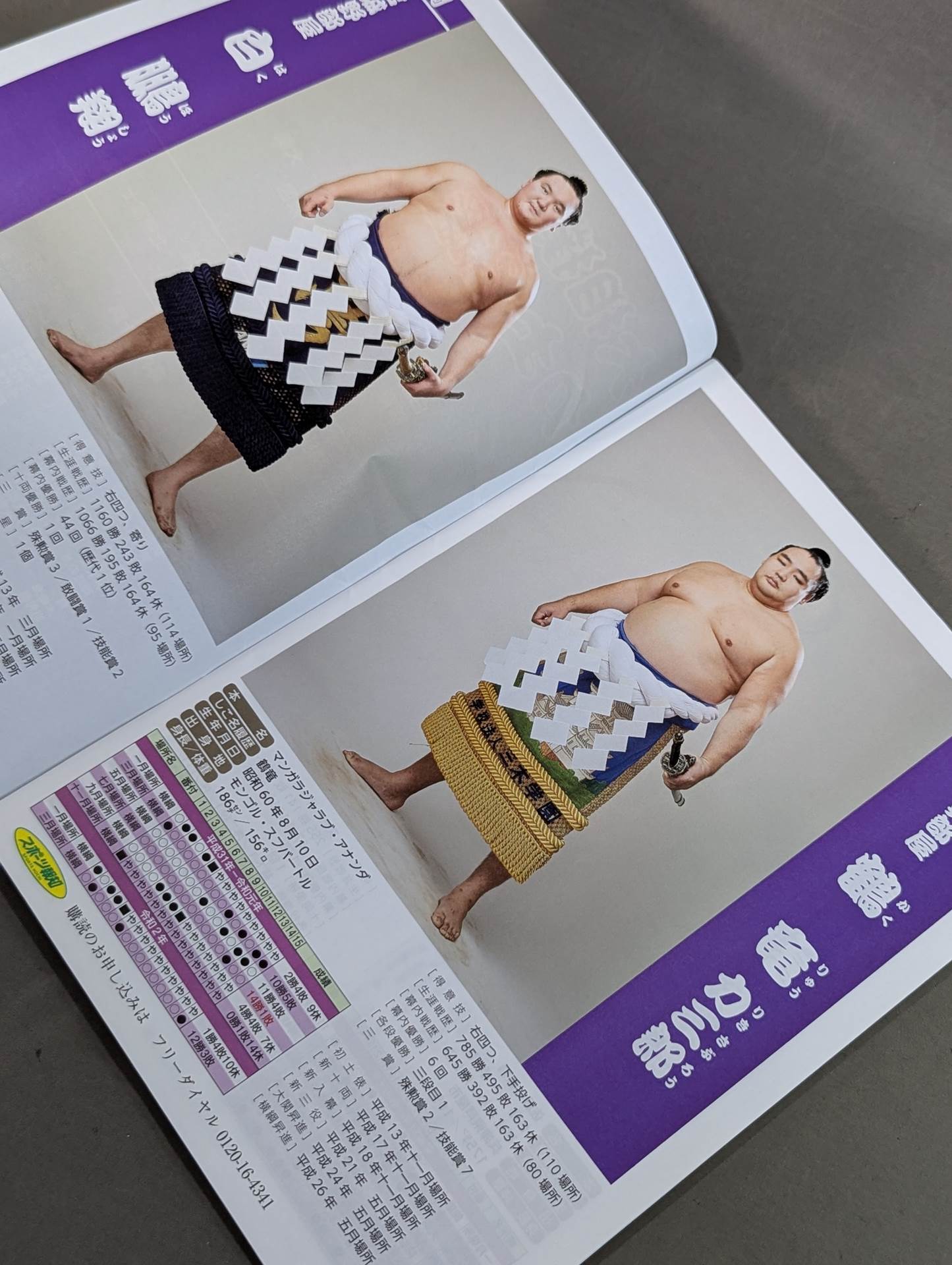 大相撲力士名鑑 2020