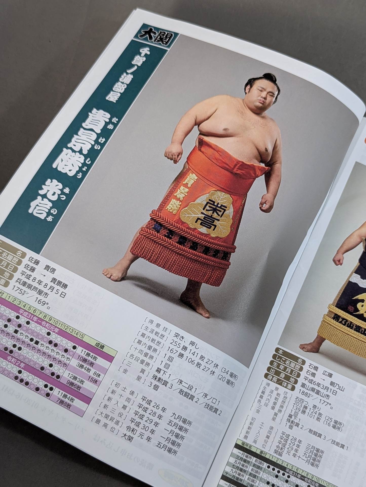 大相撲力士名鑑 2020