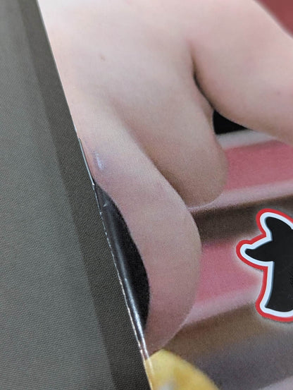 大相撲力士名鑑 2020