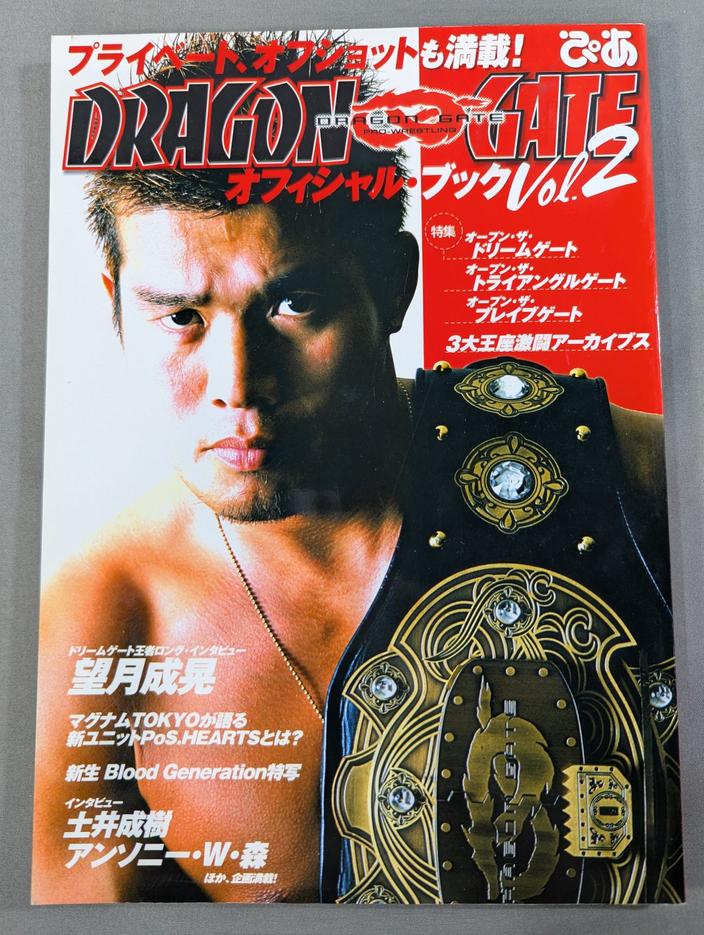 DRAGON GATE オフィシャル・ブック vol.2