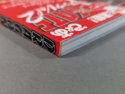 DRAGON GATE オフィシャル・ブック vol.2