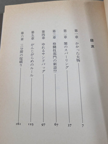 Pro Wrestling World 2 Maskman Debut