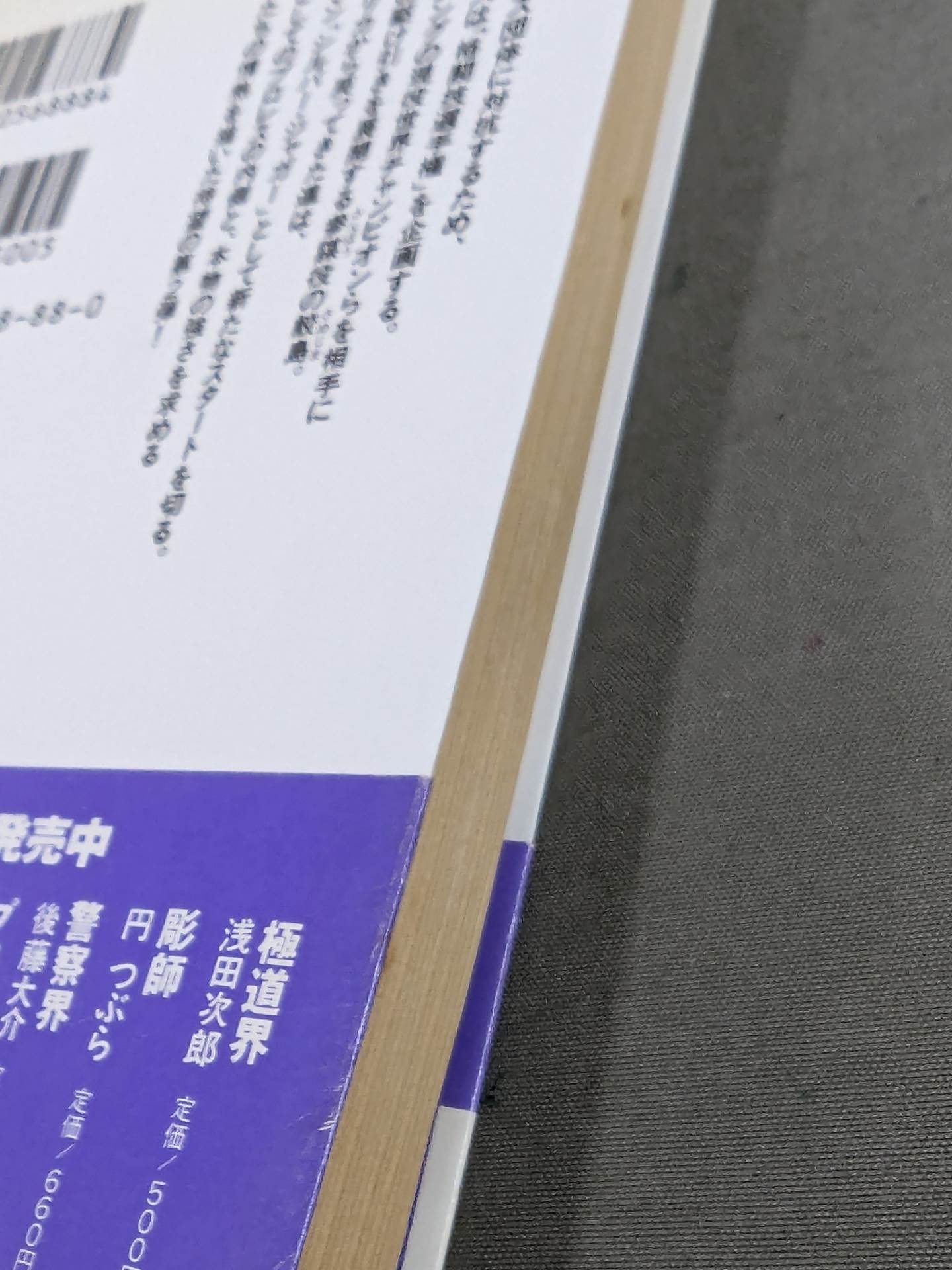 プロレス界2 マスクマン・デビュー編 – 闘道館