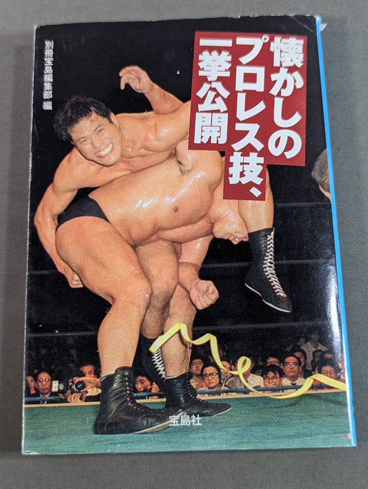 Nostalgic Pro Wrestling techniques are released all at once