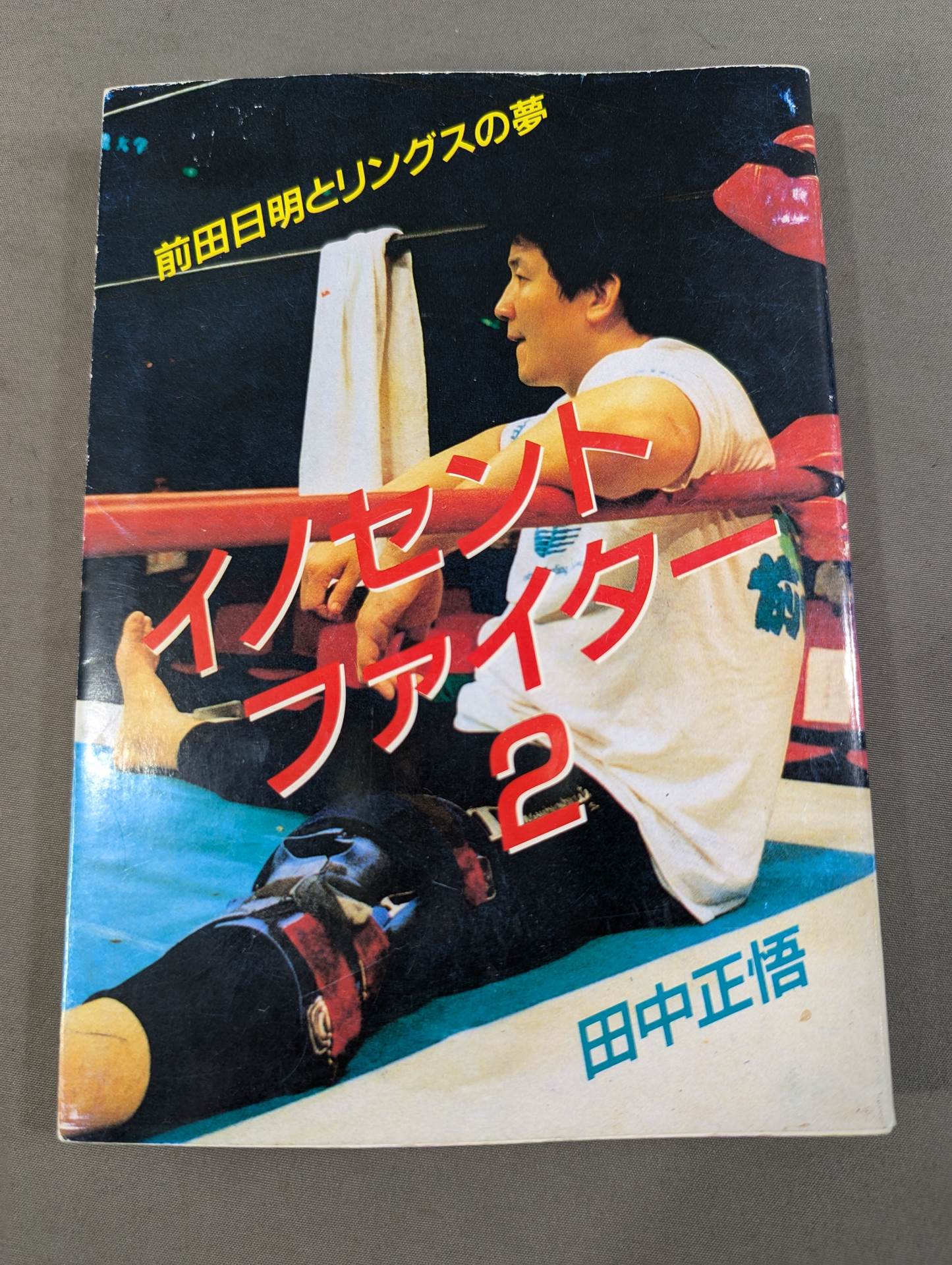 Innocent Fighter 2: Akira Maeda  and Rings' Dream