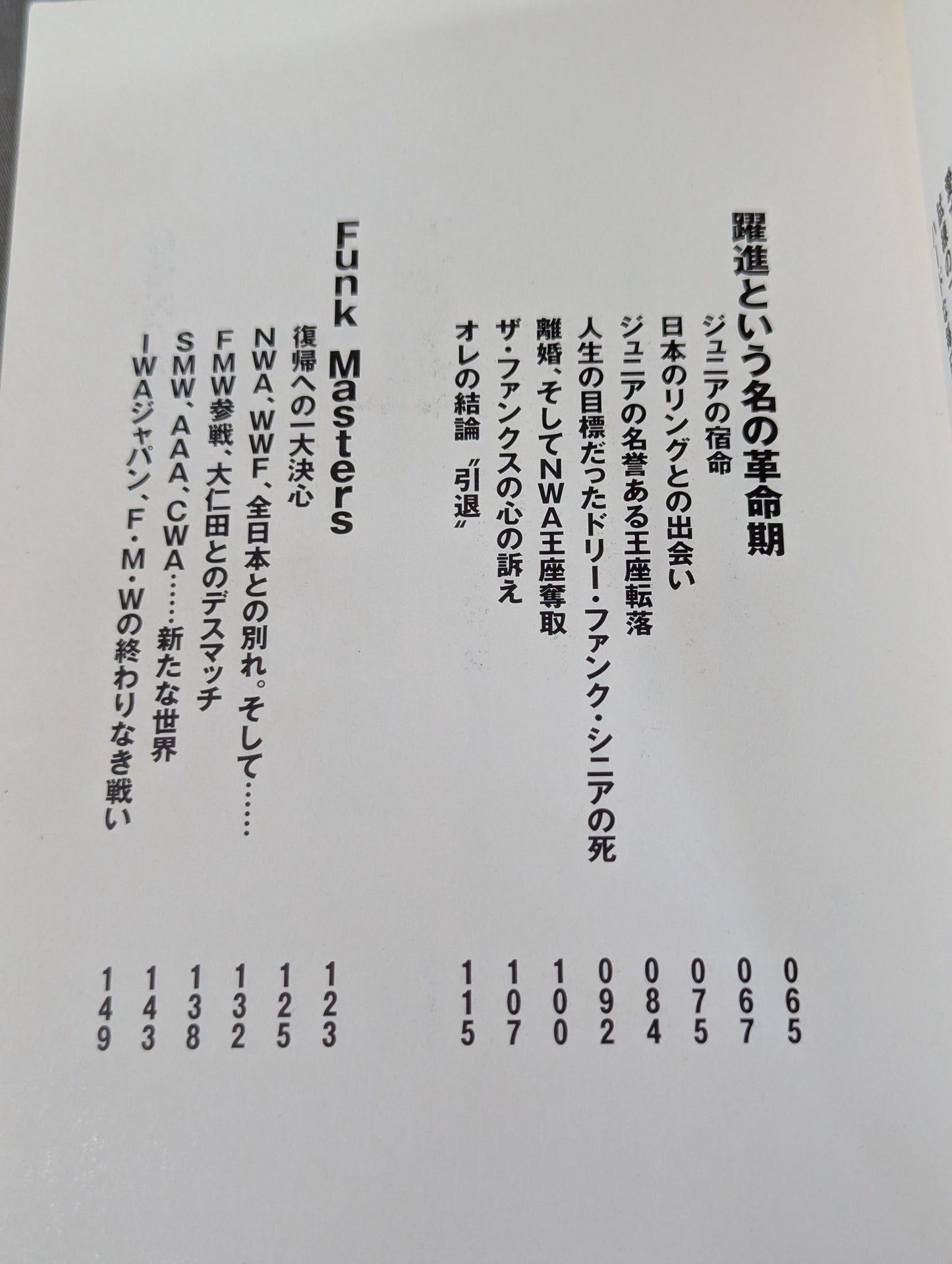 テキサスブロンコ半生記