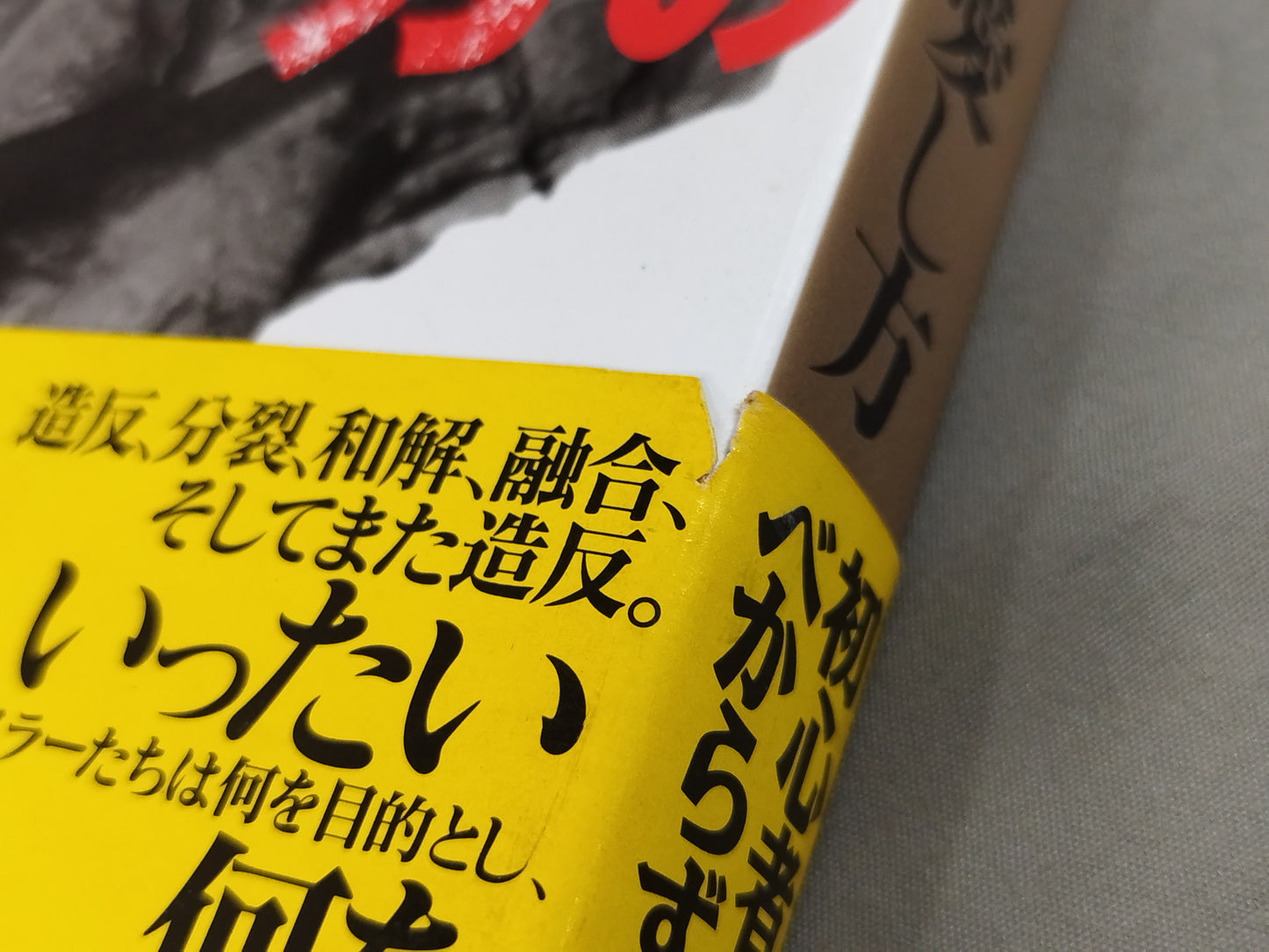 プロレスの危険な愛し方  リング上のエクスタシー