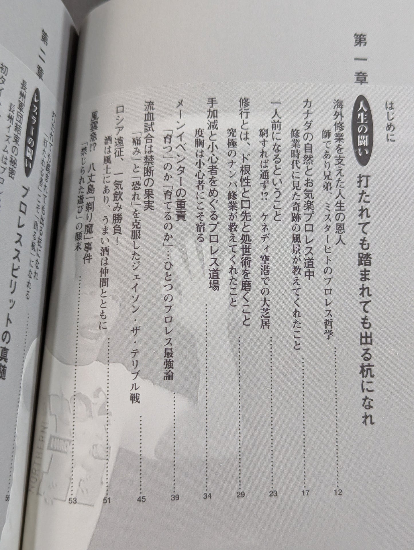 闘いのゴングが聞こえているか プロレスの美学 男の生きざま