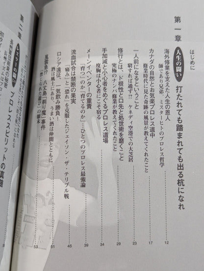 闘いのゴングが聞こえているか プロレスの美学 男の生きざま