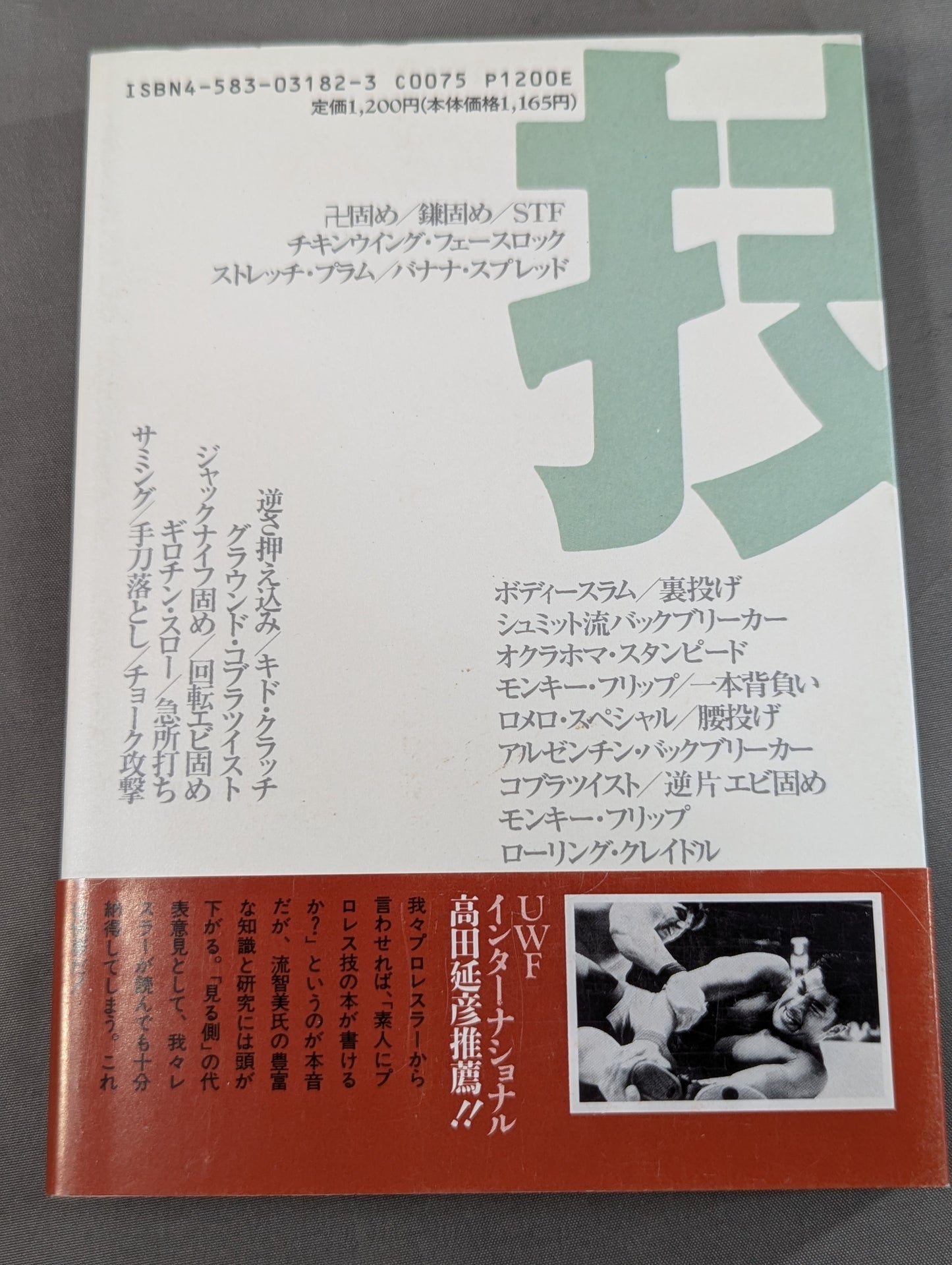 流智美のこれでわかった!プロレス技 下半身編