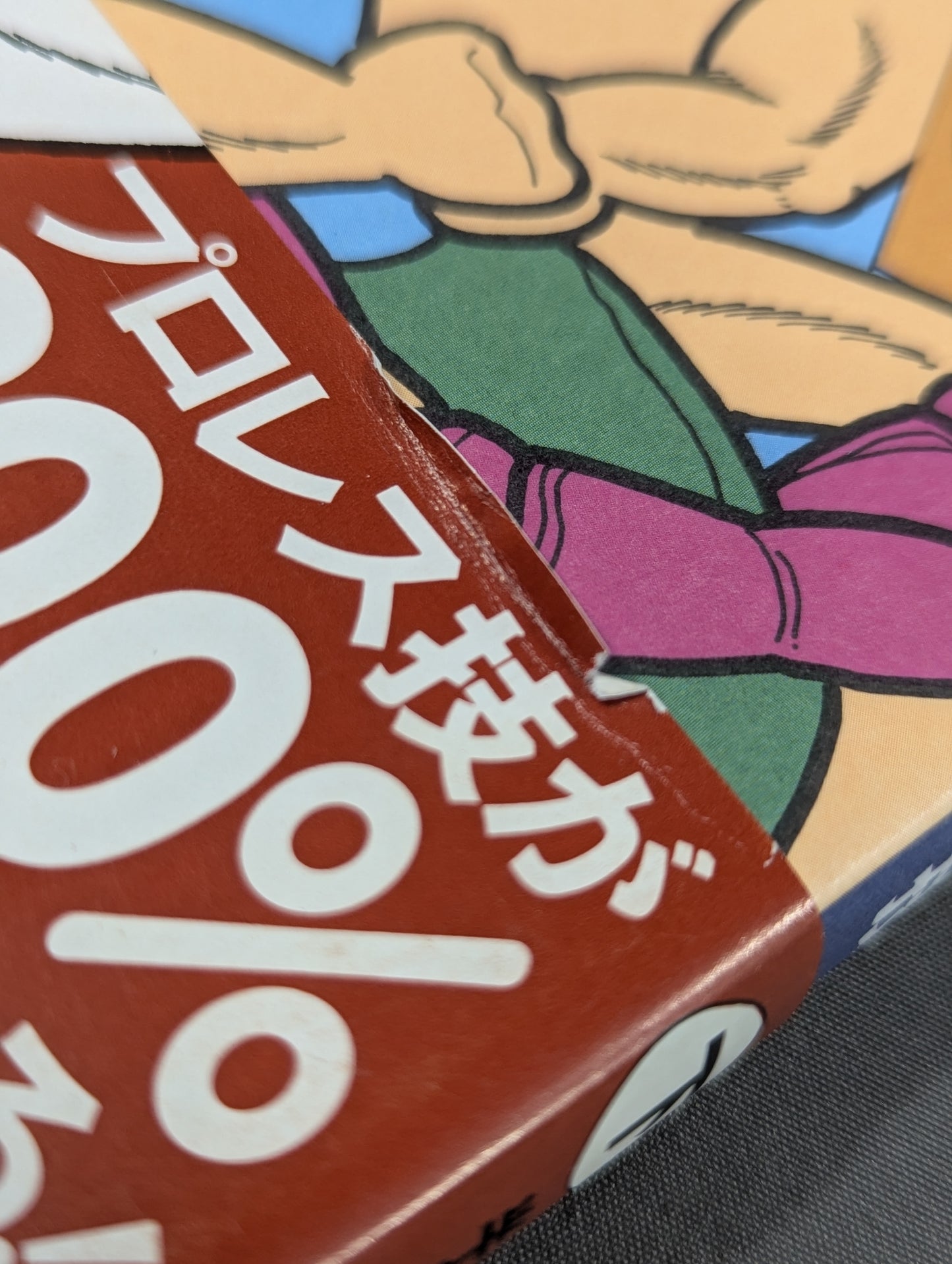 流智美のこれでわかった!プロレス技 下半身編