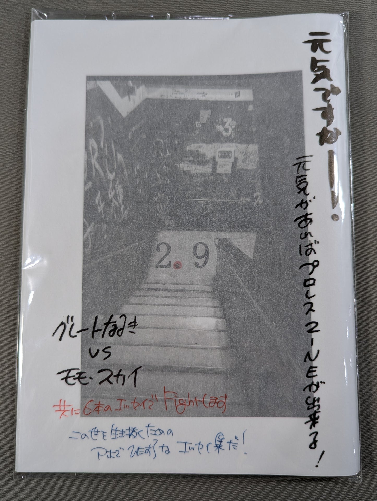 【日々リングに立つあなたに送るプロレスと人生のZINE】2.9（ニーテンキュー）