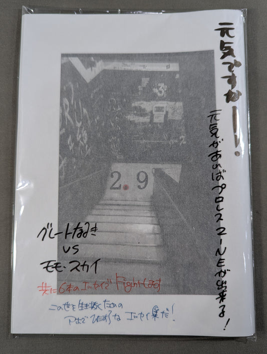 [Pro Wrestling and ZINE for Life Dedicated to You Who Stand in the Ring Every Day] 2.9 (Nitten Q)