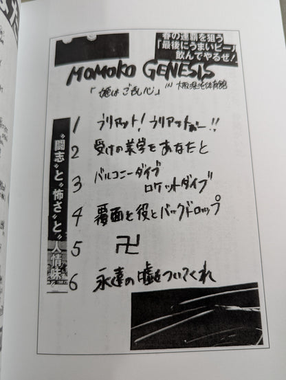 【日々リングに立つあなたに送るプロレスと人生のZINE】2.9（ニーテンキュー）