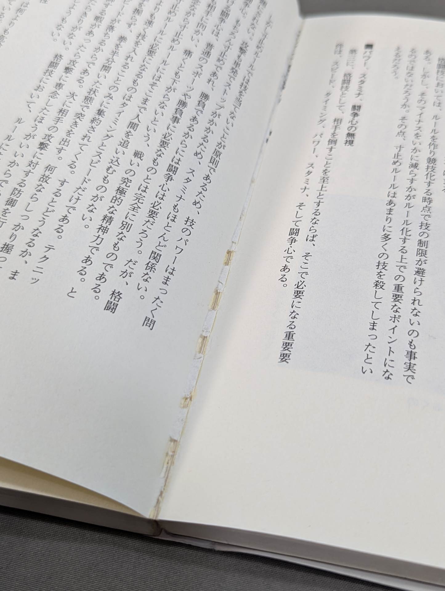 リアルバトロジー 最強格闘技論