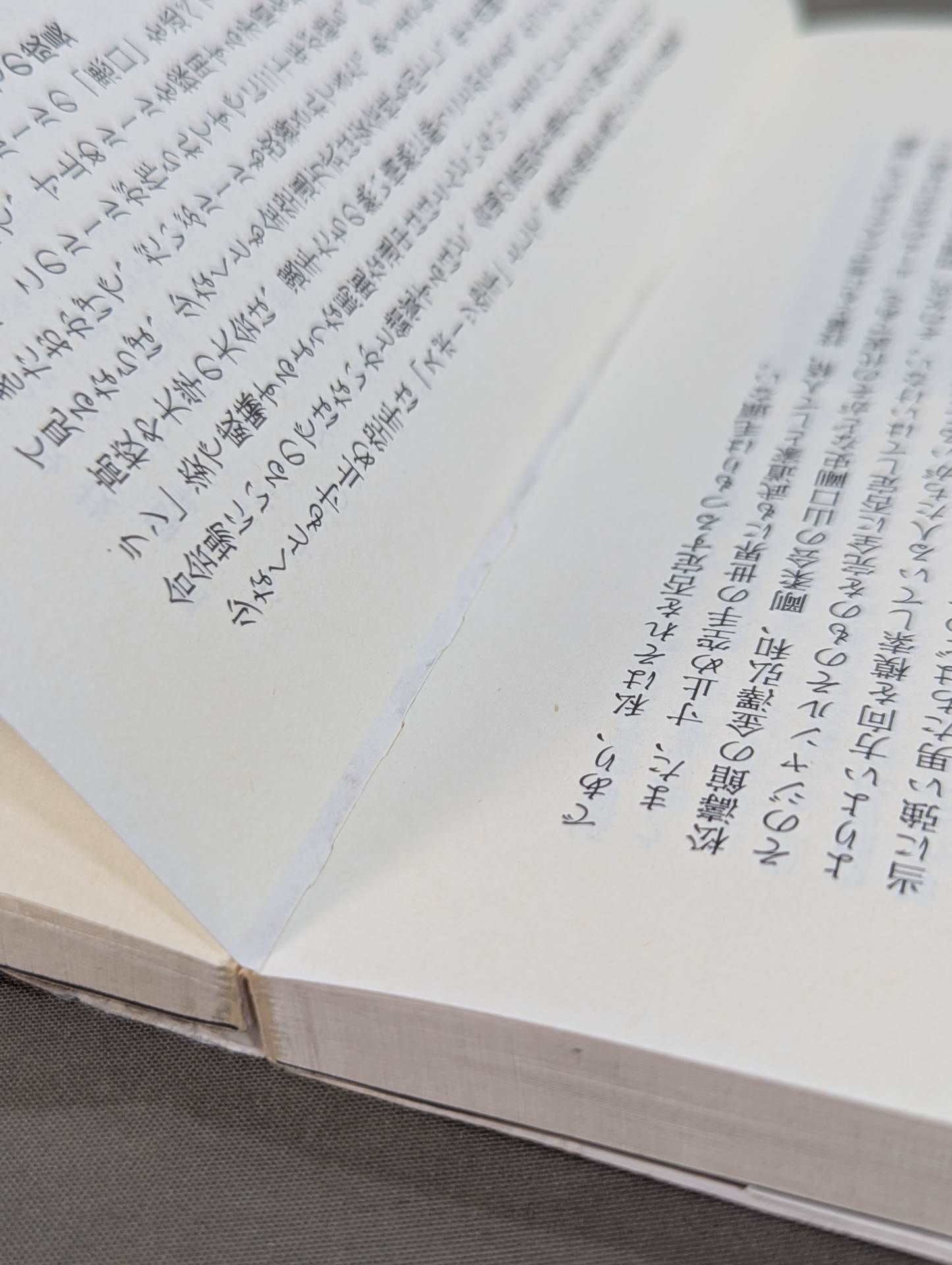 リアルバトロジー 最強格闘技論