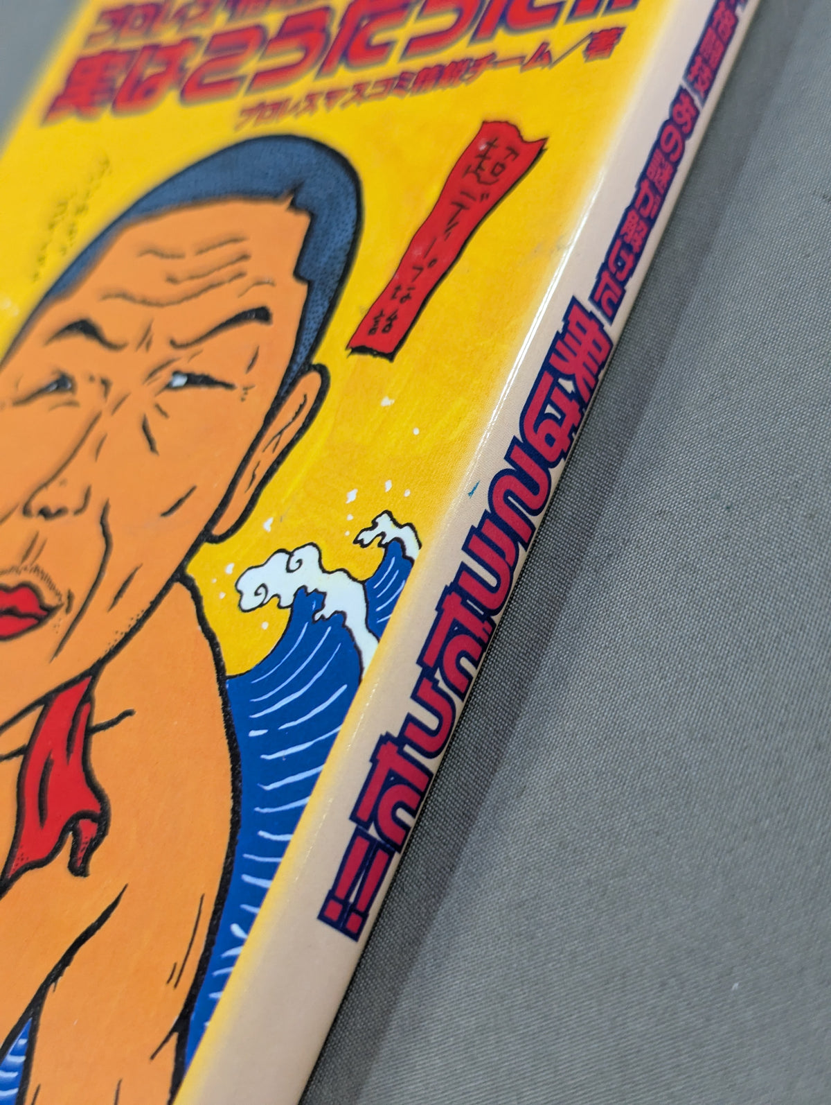 プロレス・格闘技あの謎が解けた 実はこうだった!!
