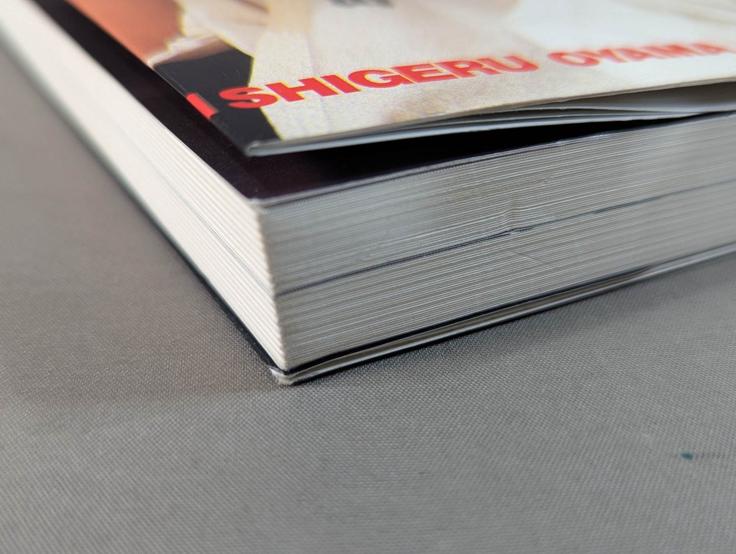 The Strongman: The Man with the Strongest Fist in America