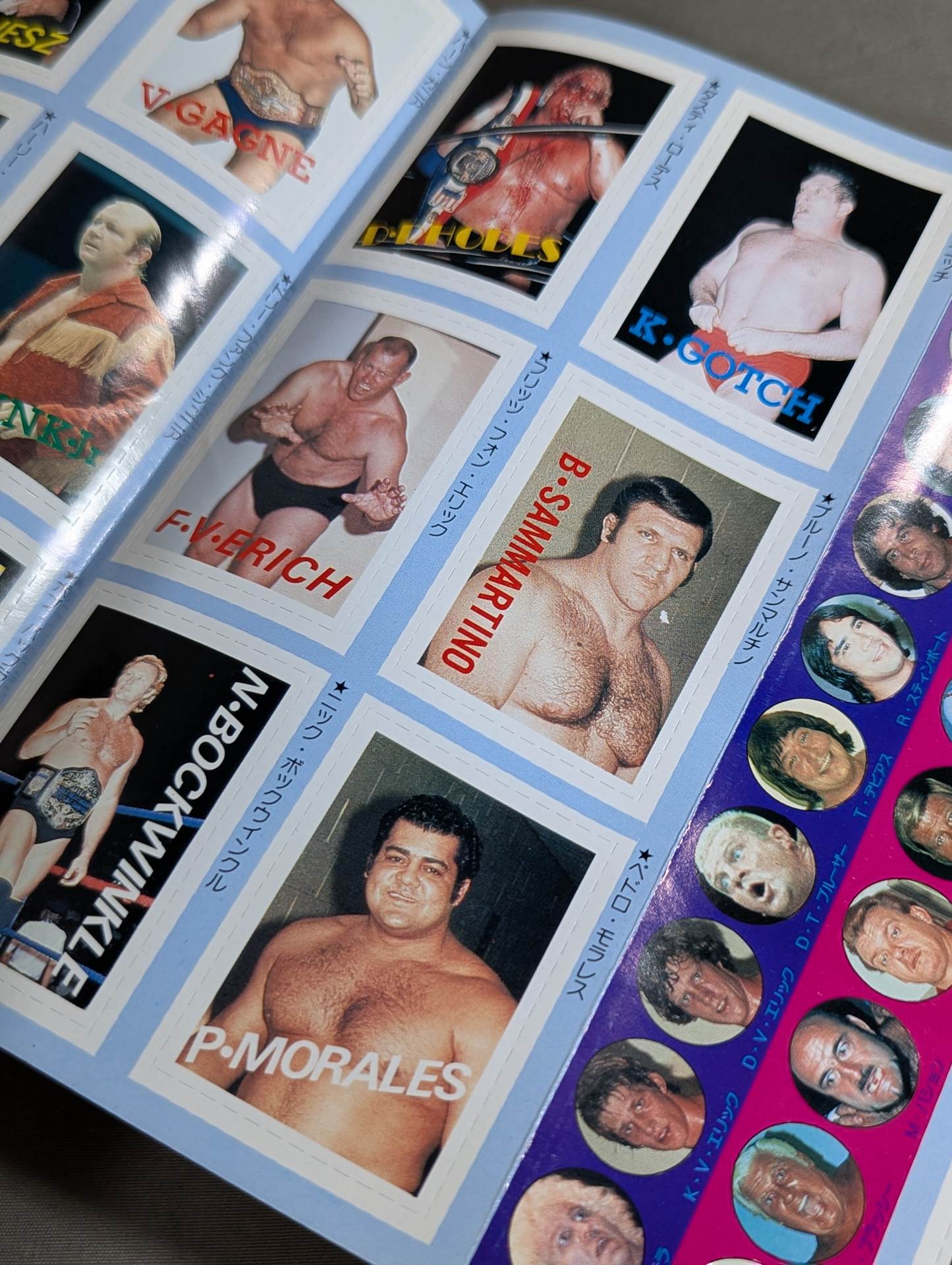 プロレス・オールガイドブック④ プロレスリングUSAザ・ベスト – 闘道館