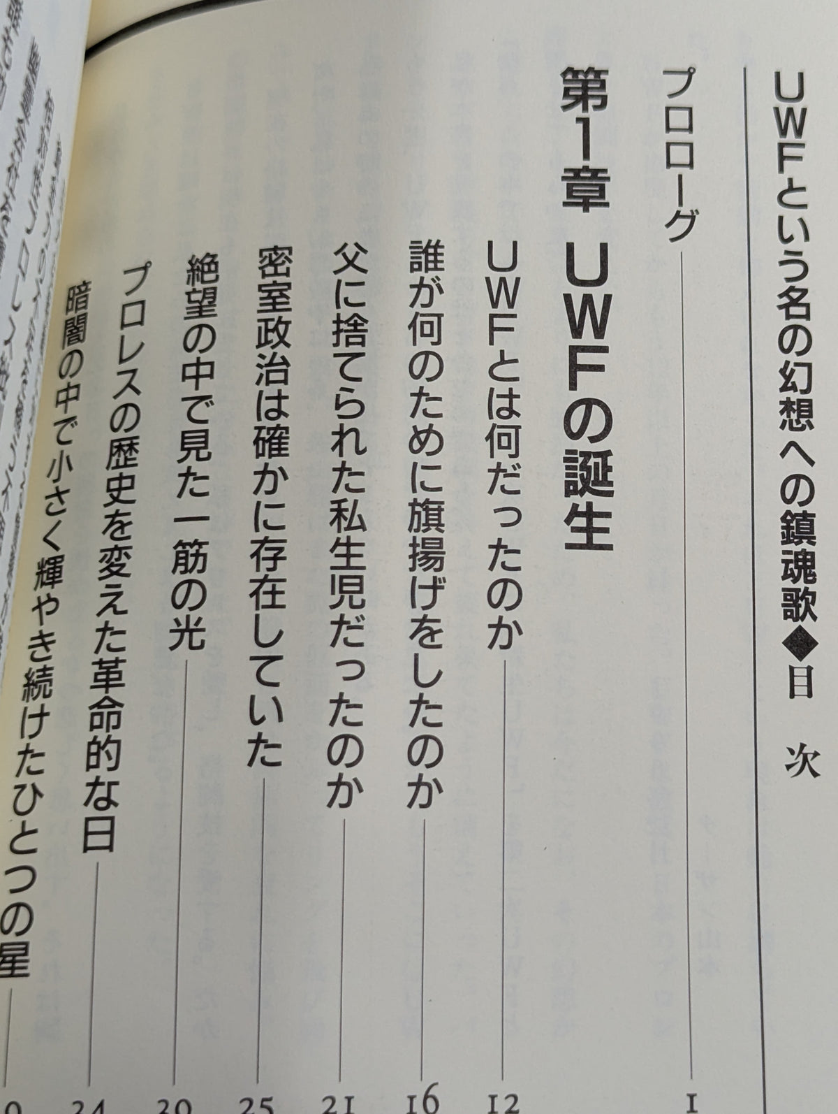 UWFという名の幻想への鎮魂歌(レクイエム)