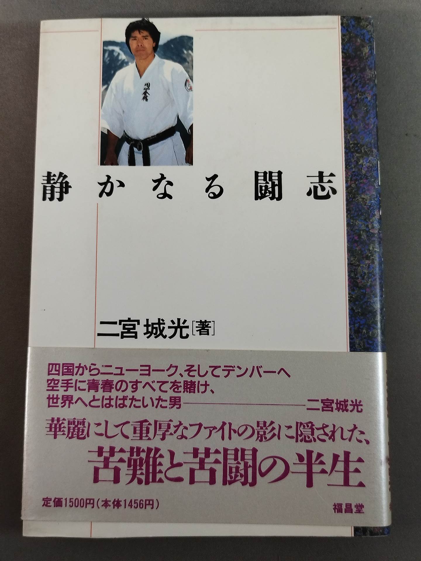 Silent Fighting Spirit