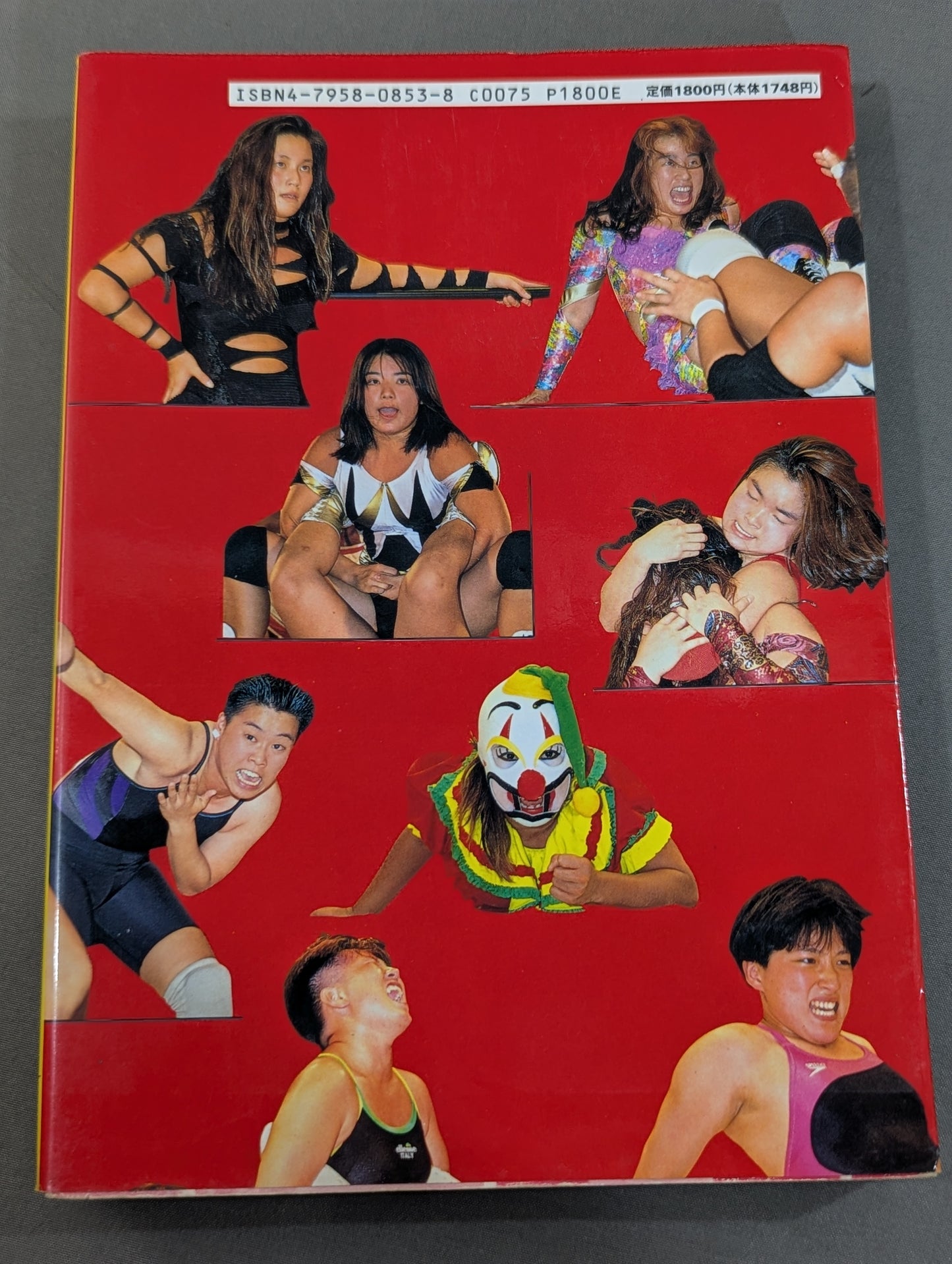 Women's Pro Wrestling  Exclusive Photographer Diary / JWP Record of Touching Faces