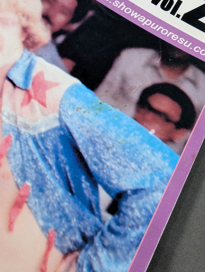 ミック博士の昭和プロレスマガジン第22号 ★特集 昭和56年 レスリング・ウォー勃発!★