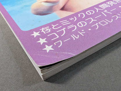ミック博士の昭和プロレスマガジン第22号 ★特集 昭和56年 レスリング・ウォー勃発!★
