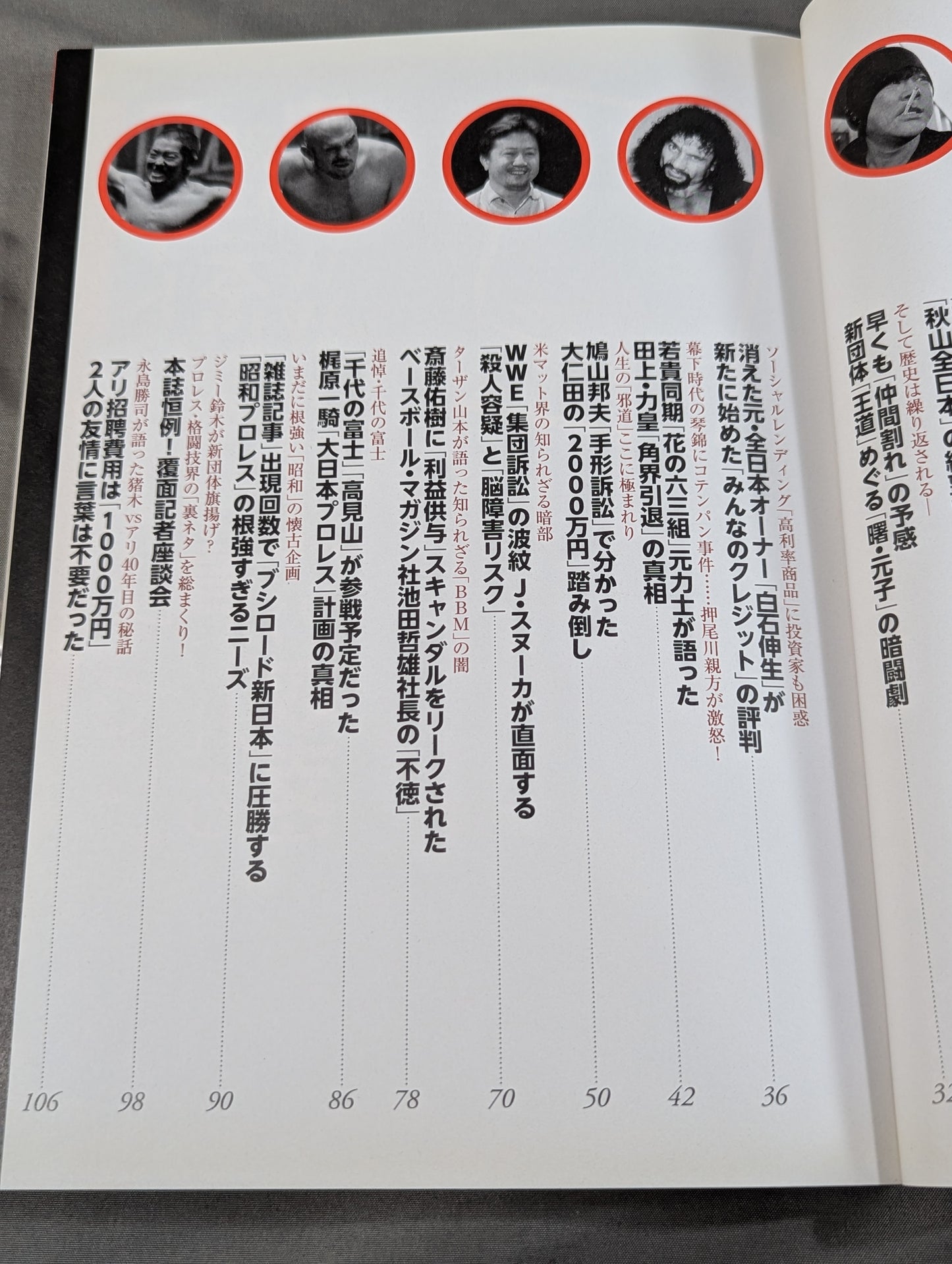 Separate volume Treasure Island 2494 Pro Wrestling  Midday Darkness 2016 Edition Major Wrestler "Popularity Survey" Announcement