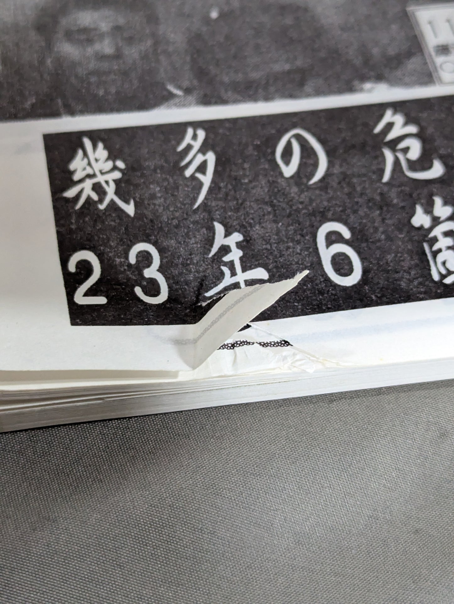 ★藤波辰爾ファンクラブ闘竜★ 会報第65号