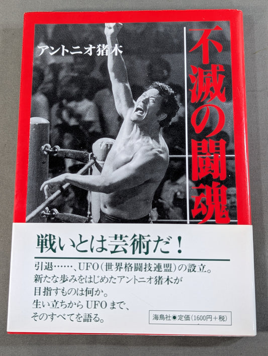 Immortal Fighting Spirit