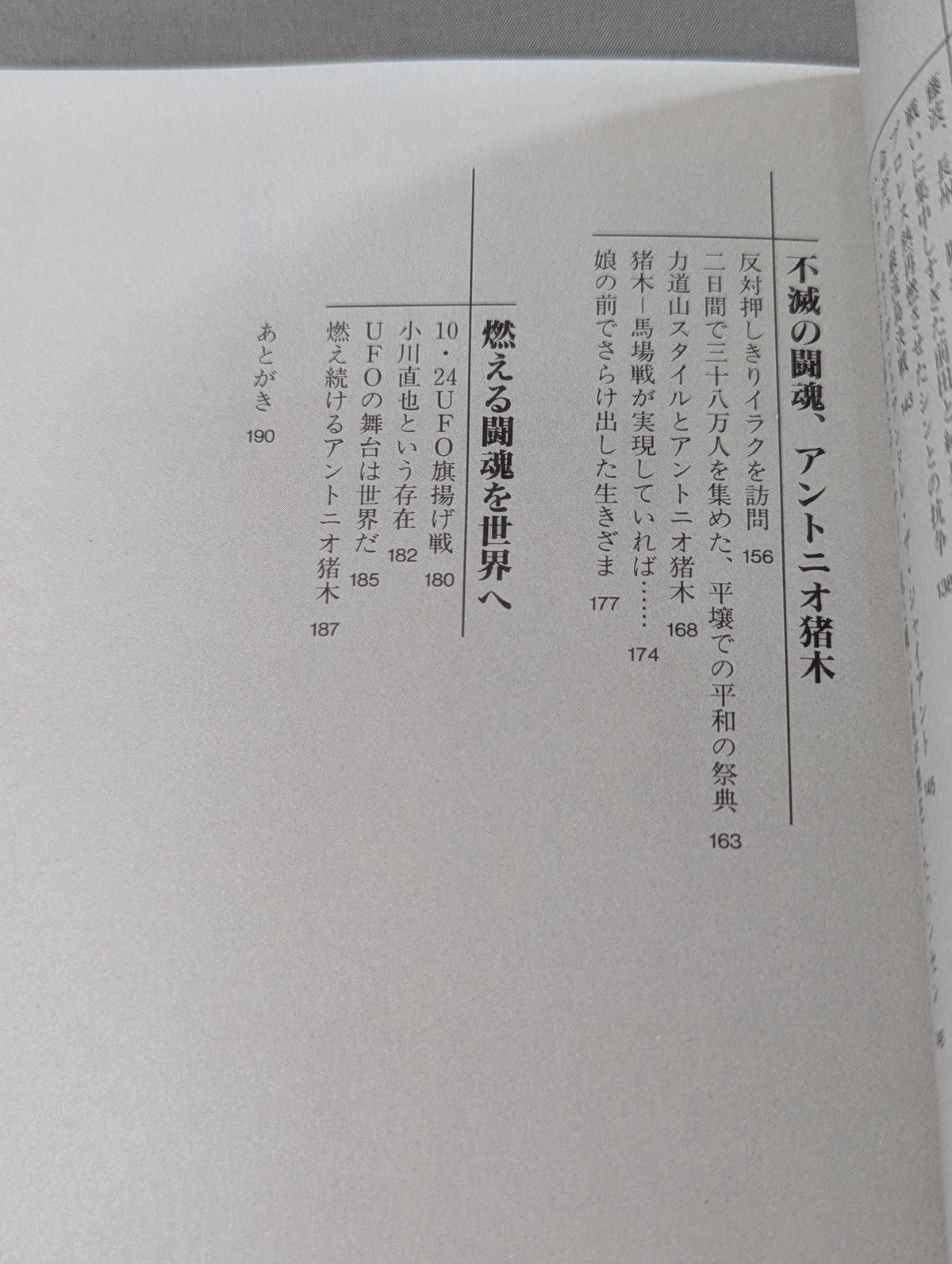 Immortal Fighting Spirit