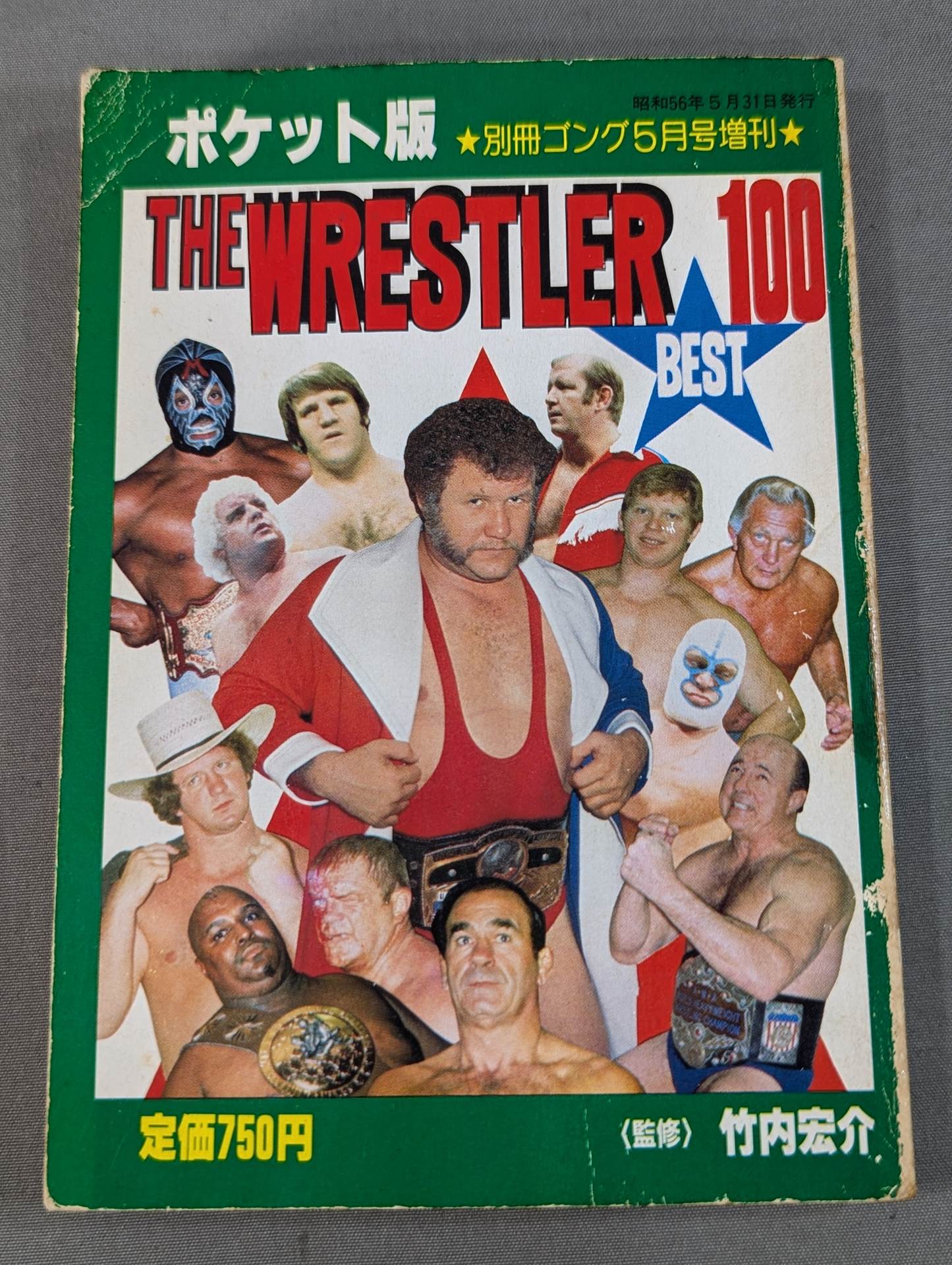 THE WRESTLER BEST 100 (Pocket Edition)